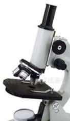 显微镜 生命科学研究的“慧眼”